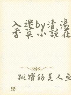 入迷by清汤涮香菜小说在线看
