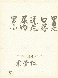 男尿道口里长个小肉疙瘩是怎么回事