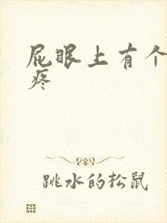 屁眼上有个肉球疼