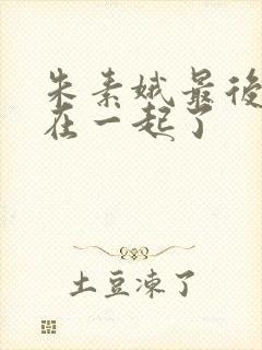 朱素娥最后和谁在一起了