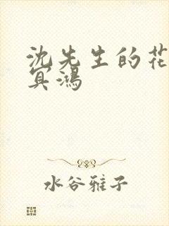 沈先生的花式调冥鸿