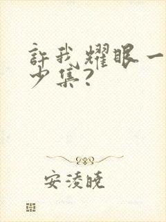 许我耀眼一共多少集?封面