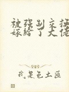 被强制交换后我嫁给了大佬小说阅读