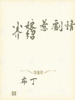 小娘惹剧情分集介绍