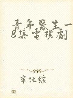 青年医生一共48集电视剧