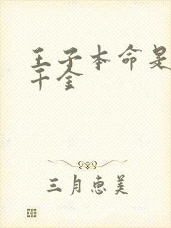 王子本命是恶奴千金