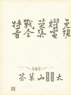 特战荣耀免费观看全集电视剧策驰封面