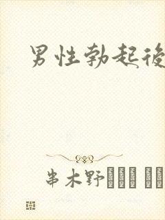 男性勃起后又软