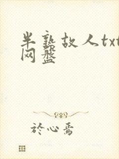 半熟故人txt网盘
