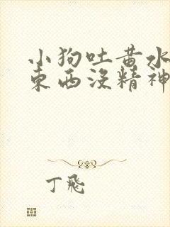 小狗吐黄水不吃东西没精神吃什么药