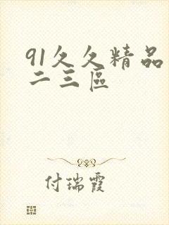 91久久精品一二三区