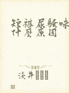 短裤尿骚味重是什么原因