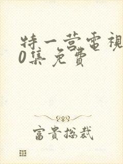 特一营电视剧40集免费