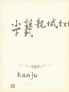 小说龙城txt下载
