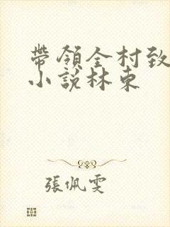 带领全村致富的小说林东