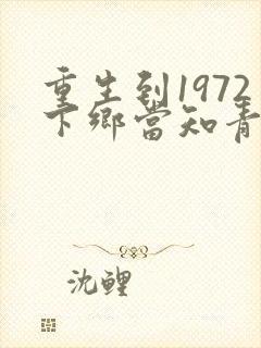 重生到1972下乡当知青的小说