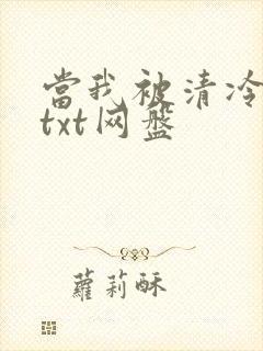 当我被清冷公子txt网盘
