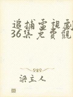 追捕电视剧全集36集免费观看