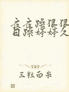 夜夜躁狠狠躁日日躁婷婷久久久