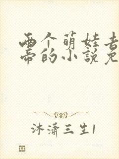 两个萌娃去找女帝的小说免费