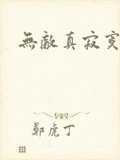 无敌真寂寞新丰