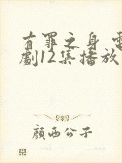 有罪之身 电视剧12集播放