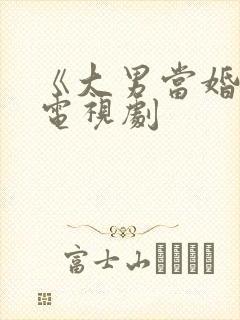 《大男当婚》2电视剧