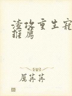 渣攻重生宠受文推荐