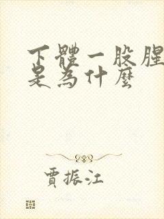 下体一股腥臭味是为什么封面