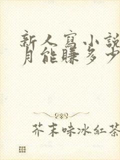 新人写小说一个月能赚多少