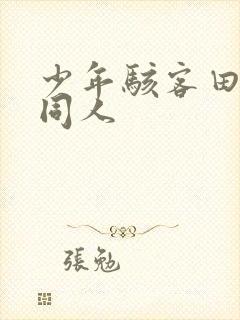 少年骇客田小玟同人