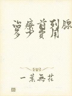 治疗前列腺要花多少费用封面