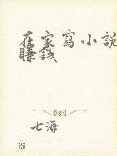 在家写小说怎么赚钱