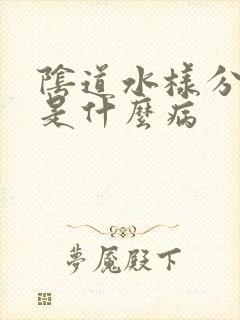 阴道水样分泌物是什么病封面