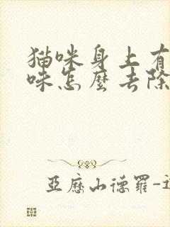 猫咪身上有尿骚味怎么去除