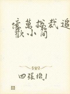 亿万总裁追妻忙 欢小简