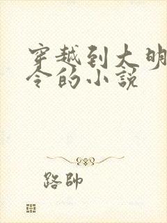 穿越到大明当县令的小说