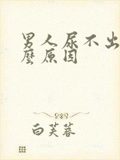 男人尿不出是什么原因