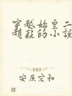 穿越始皇二公子赵毅的小说