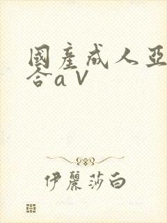 国产成人亚洲综合a∨