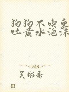 狗狗不吃东西呕吐黄水泡沫粘液