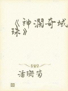 《神澜奇域无双珠》封面