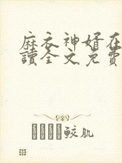 麻衣神婿在线阅读全文免费