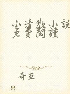 小清欢小说全文免费阅读