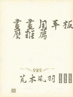 画画用平板有什么推荐