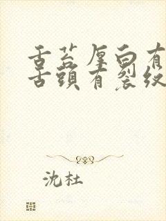 舌苔厚白有齿痕舌头有裂纹封面