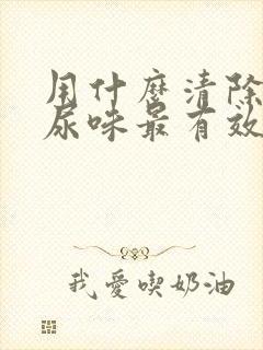 用什么清除老鼠尿味最有效