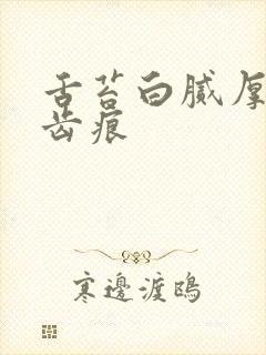 舌苔白腻厚 有齿痕