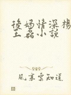 后妈情深杨晓芬王磊小说