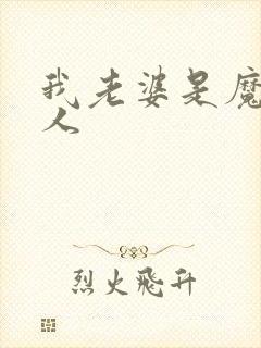 我老婆是魔王大人